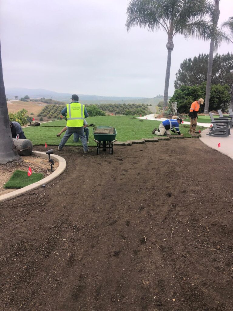 How Artificial Grass Withstands Southern California’s Heat