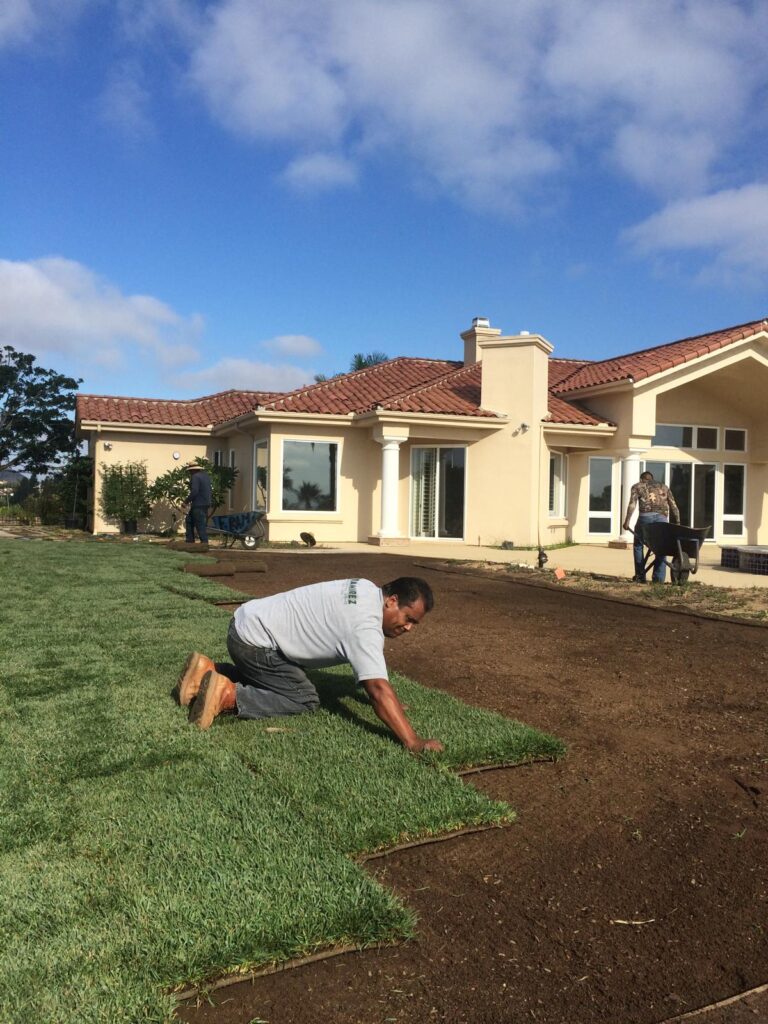 Pet-Friendly Artificial Turf Solutions for North County Homes