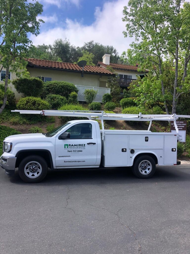 Preventing Pest Infestations Through Regular Landscape Upkeep
